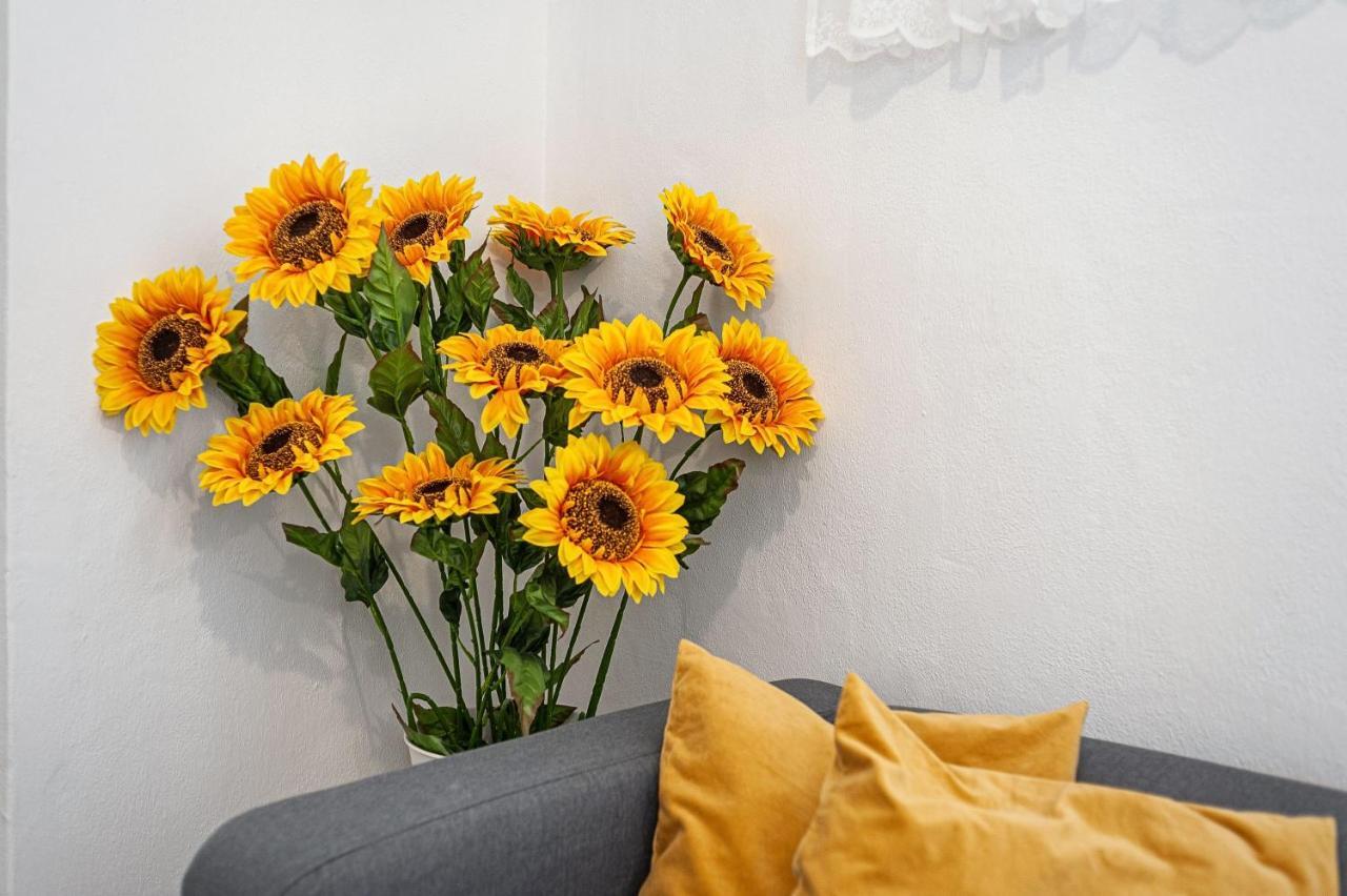 Apartamento Los Girasoles ベヘール・デ・ラ・フロンテーラ エクステリア 写真